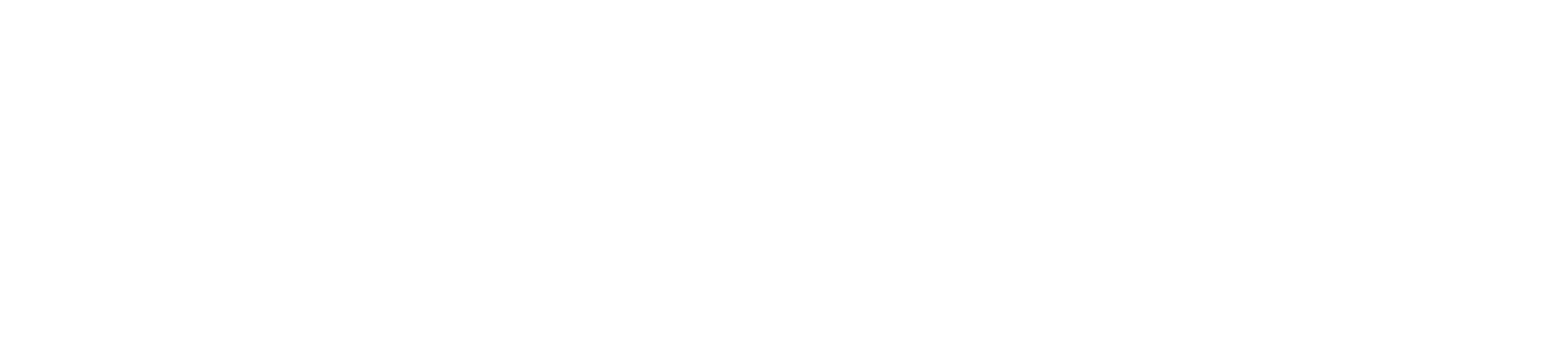 B.H. Mammi — Established in 1966